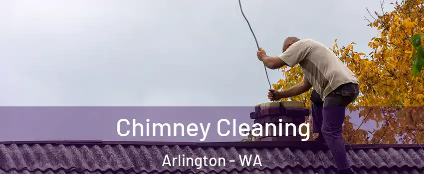 Chimney Cleaning Arlington - WA