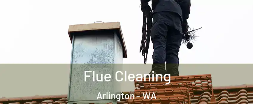 Flue Cleaning Arlington - WA