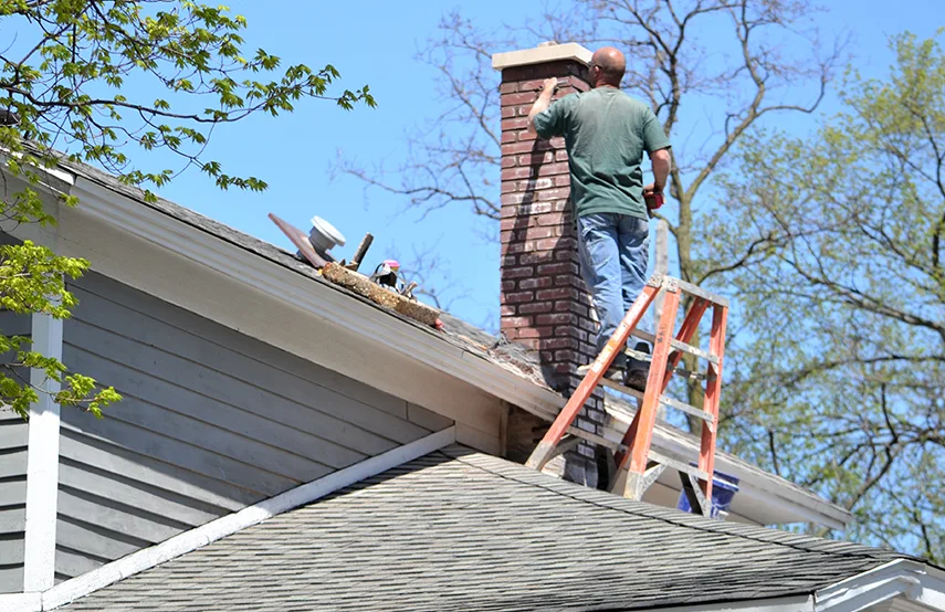 Chimney & Fireplace Inspections Services in Arlington, WA